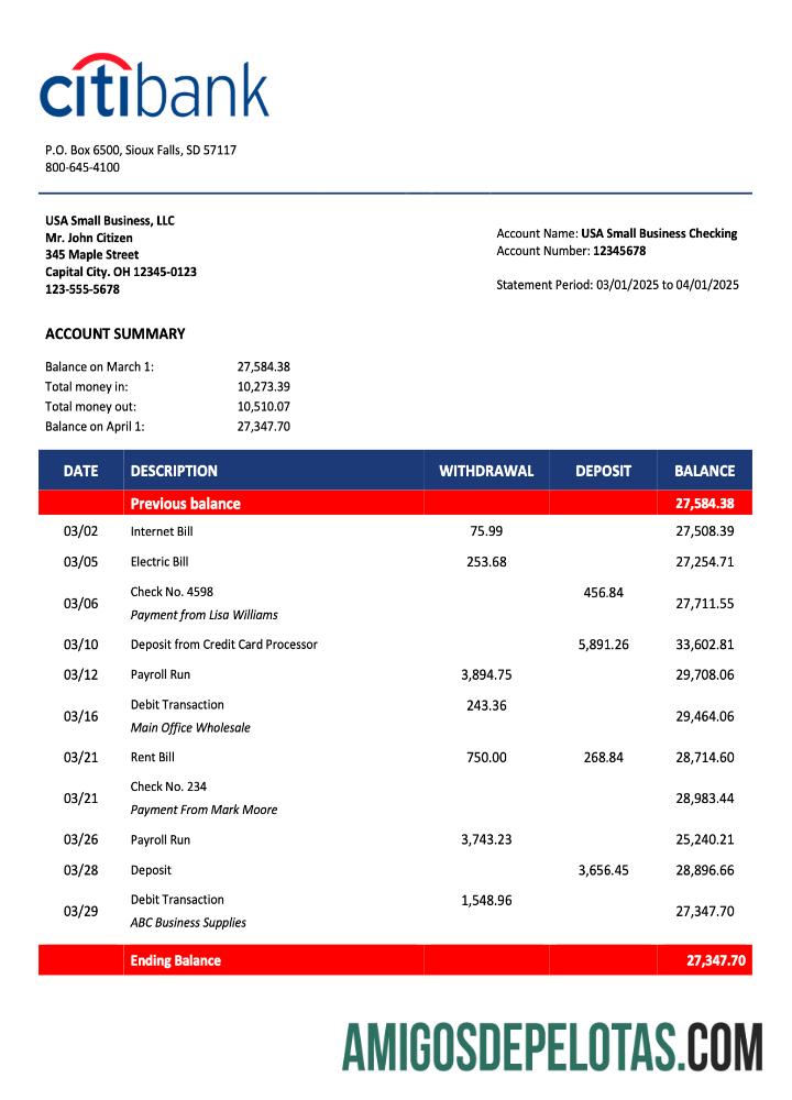 Declaração da Organização Realista USA Citibank Modelo Word e PDF